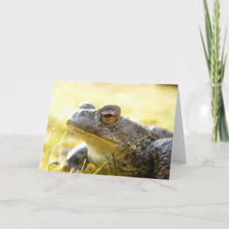 Hill End Toad Card