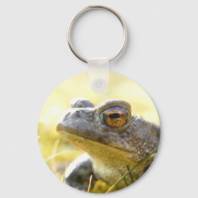 Hill End Toad Key Ring (Front)