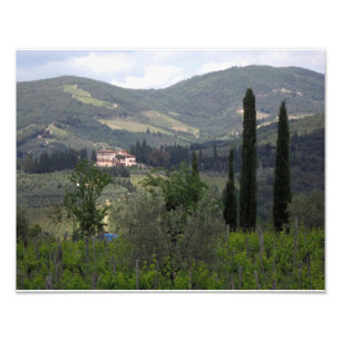 Hills of Chianti Photo Print