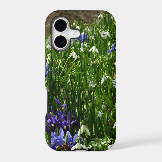 Hillside of Early Spring Flowers Landscape