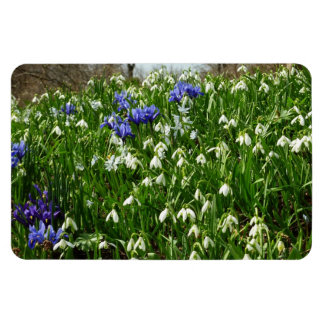Hillside of Early Spring Flowers Landscape Magnet