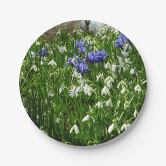 Hillside of Early Spring Flowers Landscape Paper Plate