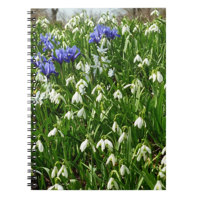Hillside of Early Spring Flowers Landscape Spiral Notebook (Front)