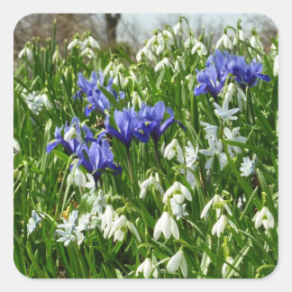 Hillside of Early Spring Flowers Landscape Square Sticker