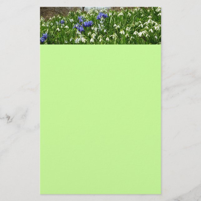 Hillside of Early Spring Flowers Landscape Stationery (Front)