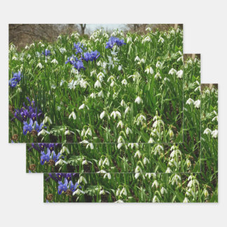 Hillside of Early Spring Flowers Landscape Wrapping Paper Sheet