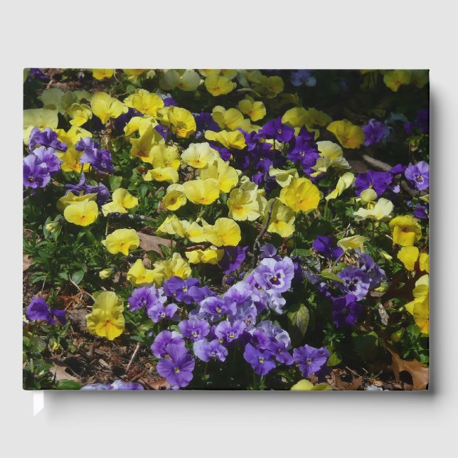 Hillside of Purple and Yellow Pansies Guest Book (Front)