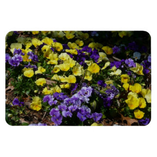 Hillside of Purple and Yellow Pansies Magnet