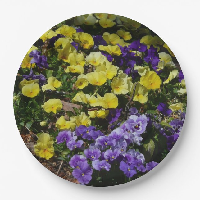 Hillside of Purple and Yellow Pansies Paper Plate (Front)