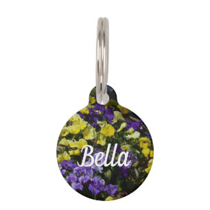 Hillside of Purple and Yellow Pansies Pet Tag