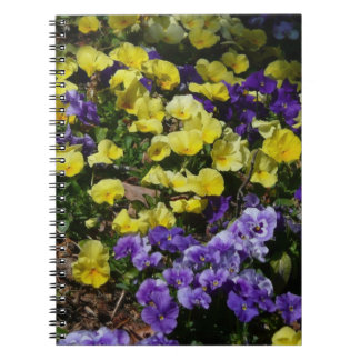 Hillside of Purple and Yellow Pansies Spiral Notebook