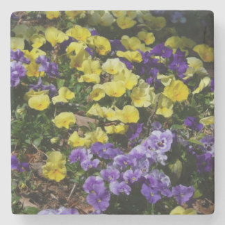 Hillside of Purple and Yellow Pansies Stone Coaster