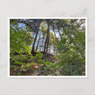 Hillside Postcard