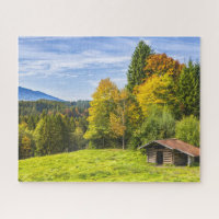Hillside Shack View of Mountains & Forest