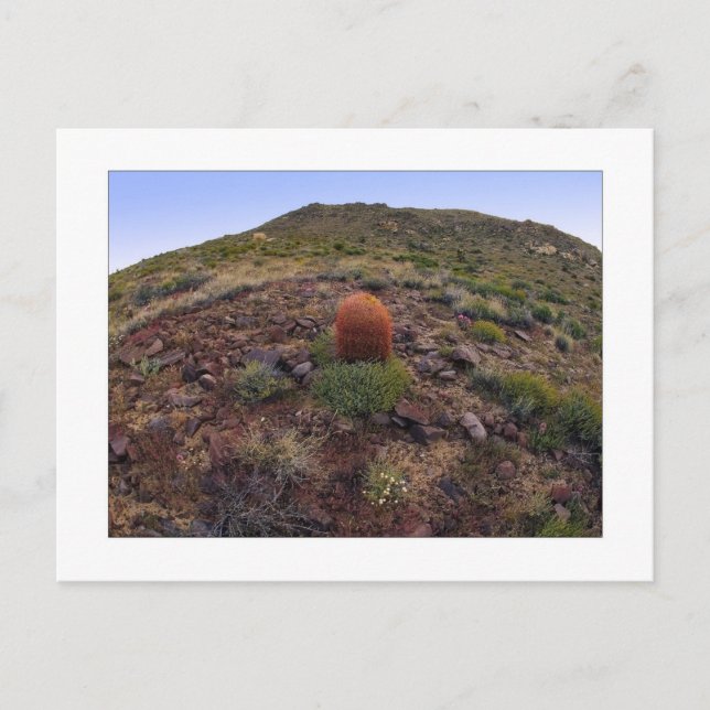 " Hillside Silo " Postcard (Front)