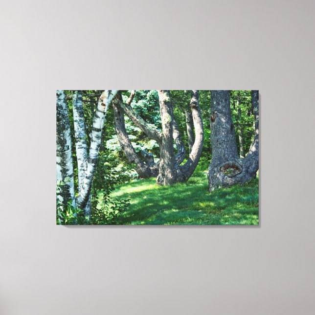 Hillside Trees Canvas Print (Front)