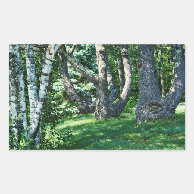 Hillside Trees Rectangular Sticker (Front)