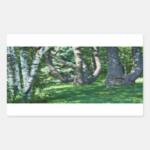 Hillside Trees Rectangular Sticker