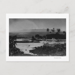 Hilo, Hawaii - View of the City Photograph Postcard