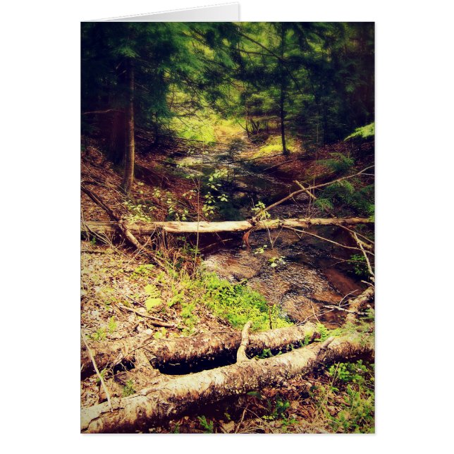 Hilton Creek (Front)