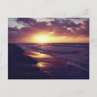 Hilton Head Island, SC Postcard