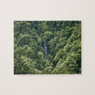 Himalaya forest in the Mangdue valley, Bhutan Jigsaw Puzzle