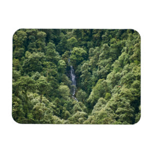 Himalaya forest in the Mangdue valley, Bhutan Magnet