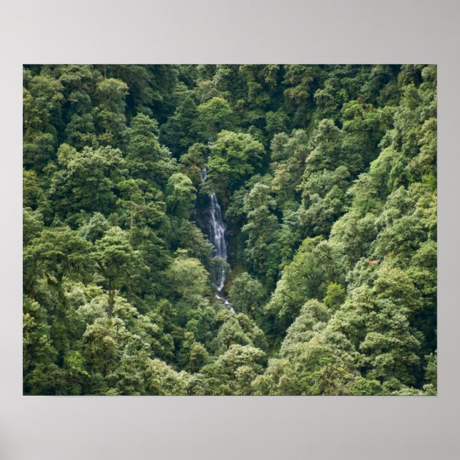 Himalaya forest in the Mangdue valley, Bhutan Poster (Front)