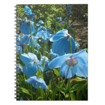 Himalayan Blue Poppy 80 page notebook