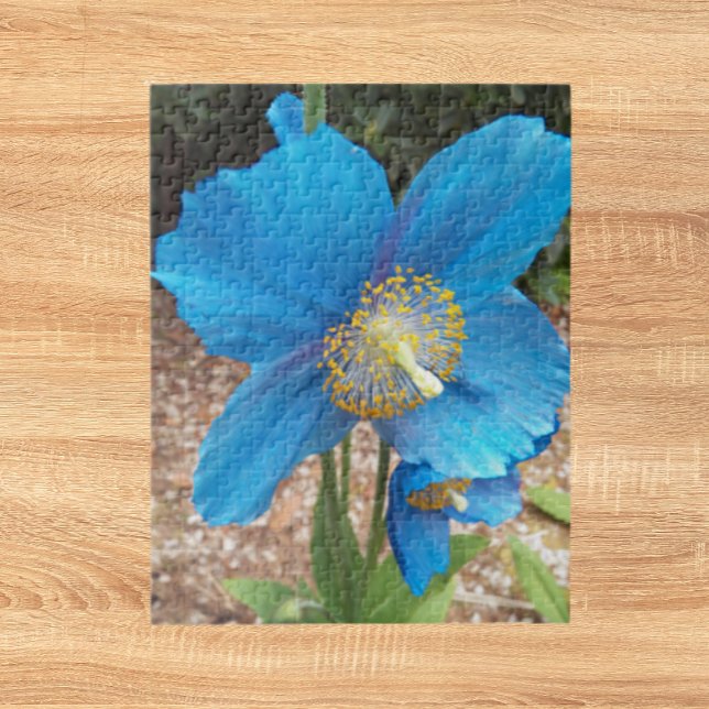 Himalayan Blue Poppy Floral Jigsaw Puzzle (In Situ)