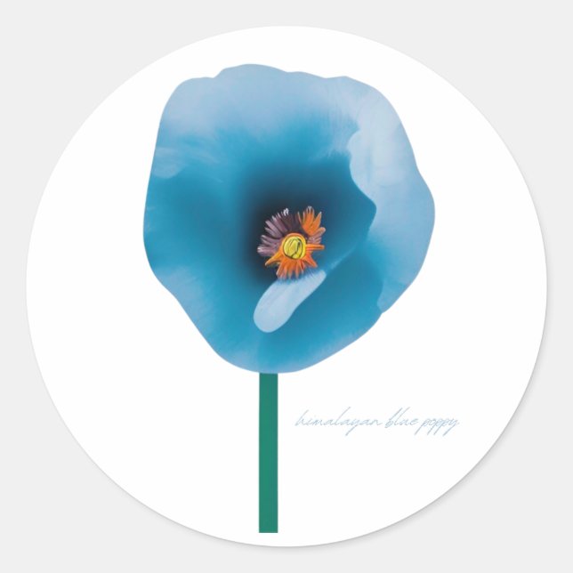 Himalayan Blue Poppy Flower Sticker (Front)
