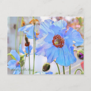 Himalayan Blue Poppy [Postcard] Postcard
