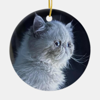 Himalayan Cat  Ceramic Tree Decoration
