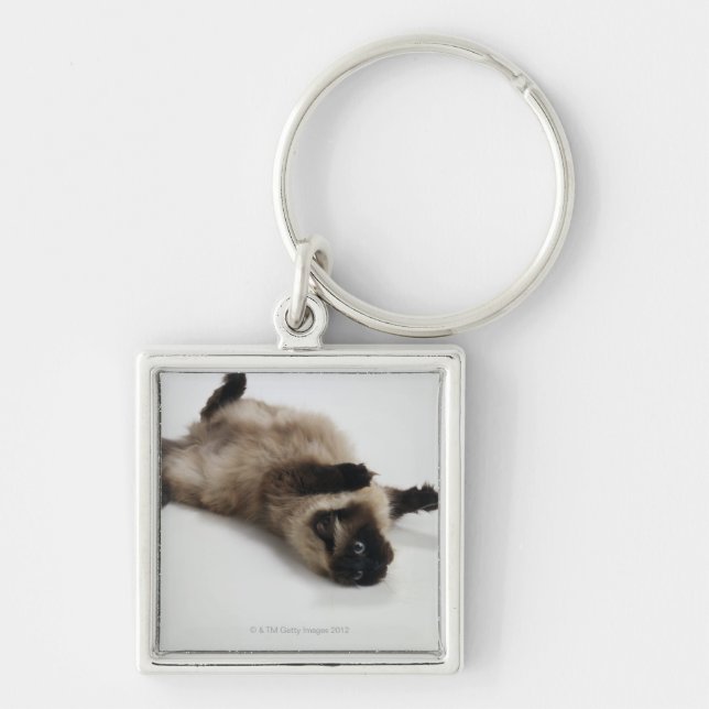 Himalayan Cat Lying on his Back Key Ring (Front)