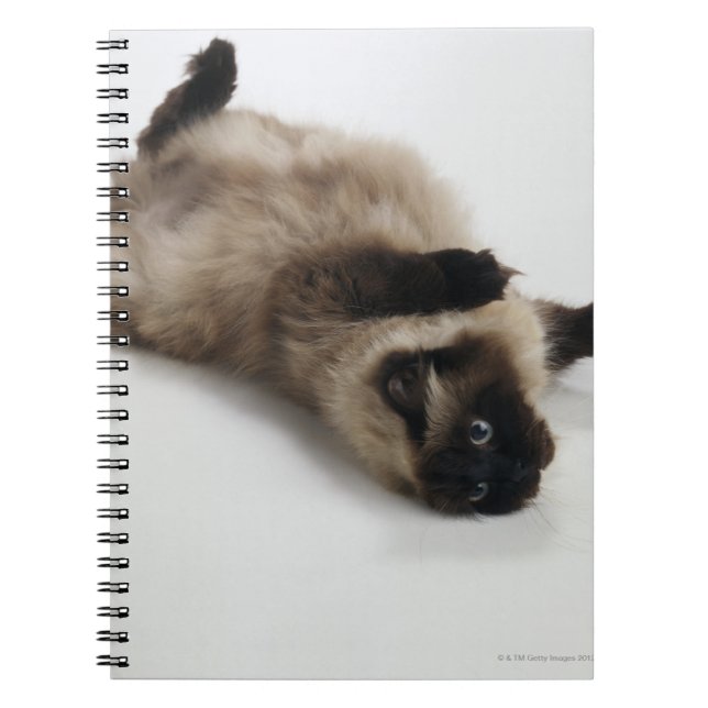 Himalayan Cat Lying on his Back Spiral Notebook (Front)