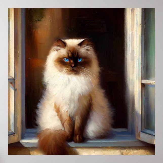 Himalayan Cat  Poster (Front)