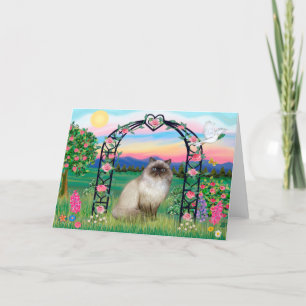 Himalayan Cat - Rose Arbor Card