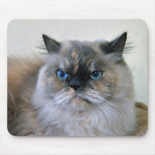 Himalayan Cat with Blue Eyes Mouse Pad (Front)