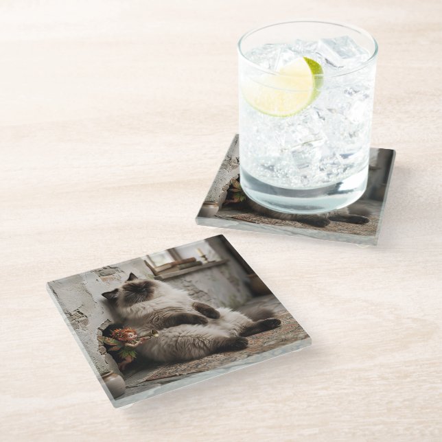 Himalayan Kitty and Pixie Wake Up Surprise  Glass Coaster (Angled)