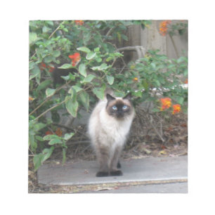 Himalayan Mix Cat Notepad