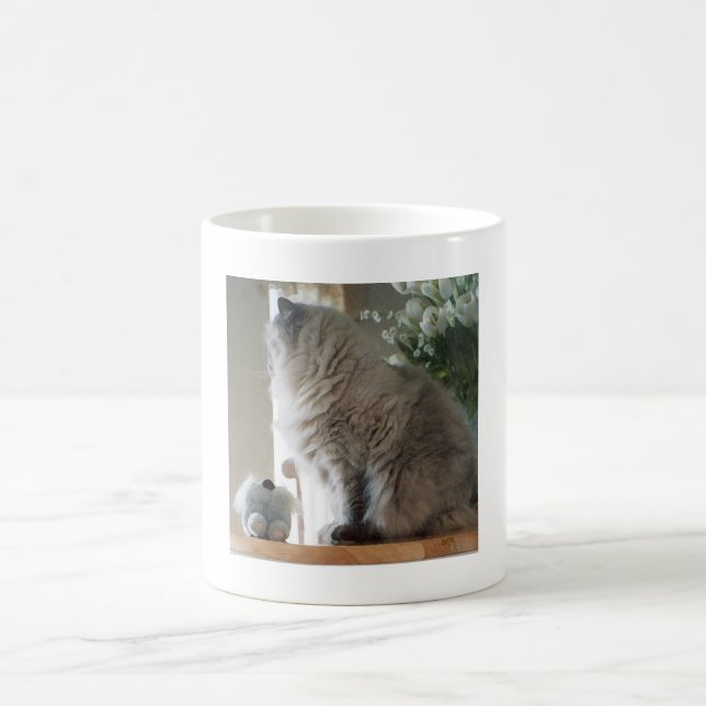 Himalayan Persian Cat Coffee Mug (Center)