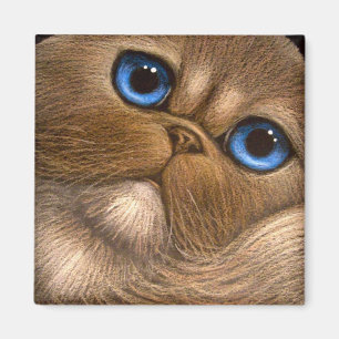 HIMALAYAN PERSIAN CAT Magnet