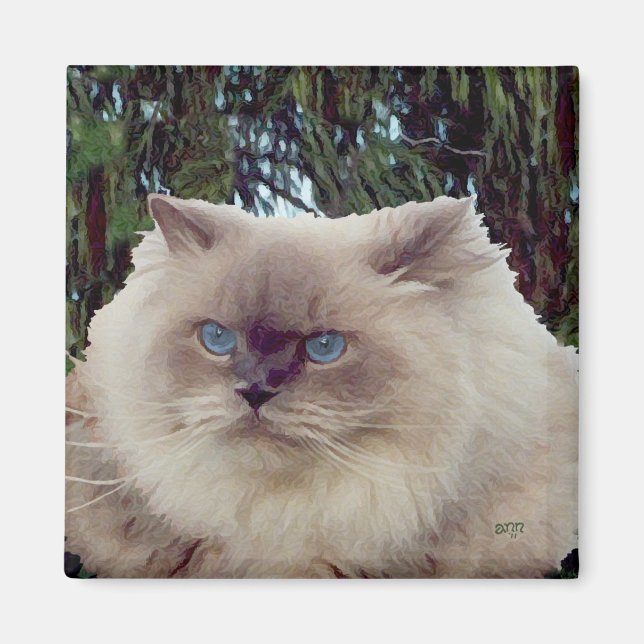 Himalayan Persian Cat Magnet (Front)