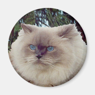 Himalayan Persian Cat Magnet