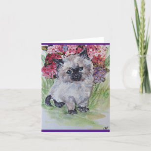 Himalayan Ragdoll Kitten Card
