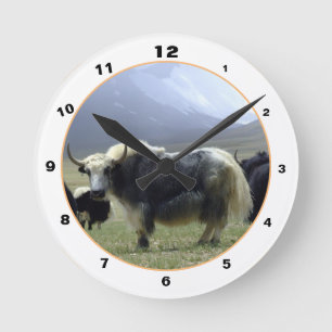 Himalayan Yaks & Mountains in Ladakh / yak Tibet Round Clock