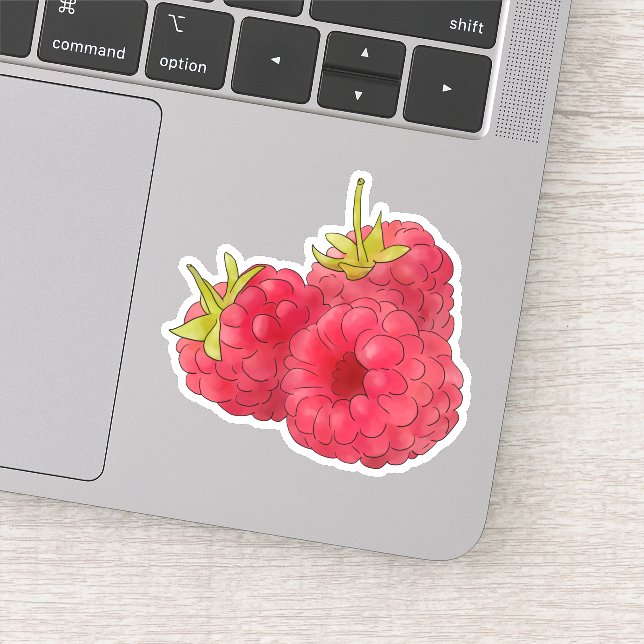 Himbeeren (Detail)