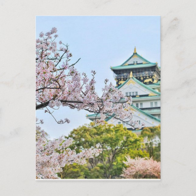 Himeji Castle with cherry blossoms Postcard (Front)