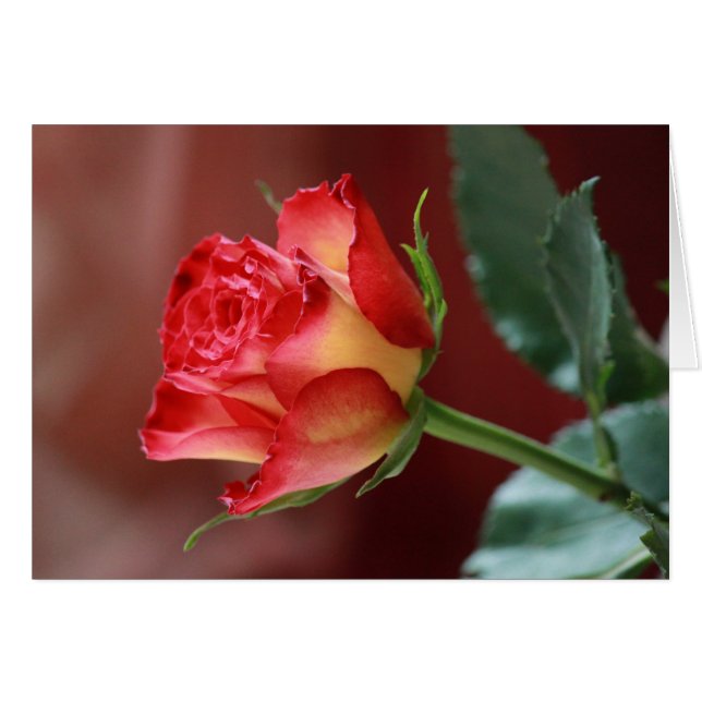 Hindi - I love you (Front Horizontal)