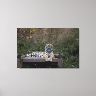 Hino, Tokyo Prefecture, Japan Canvas Print